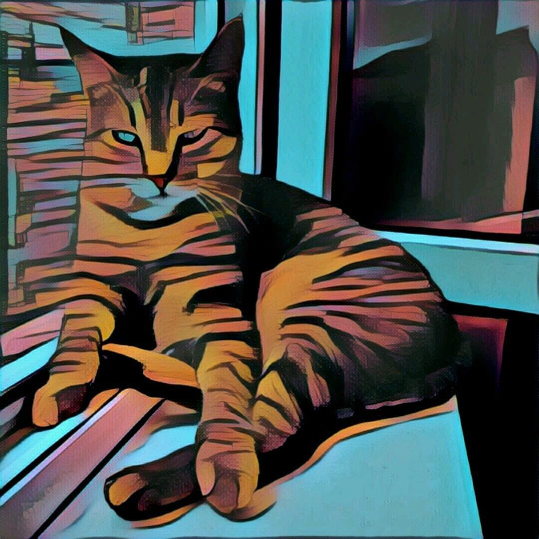 ფოტორედაქტორ Prisma-ს ფილტრების მარკეტი დაემატა