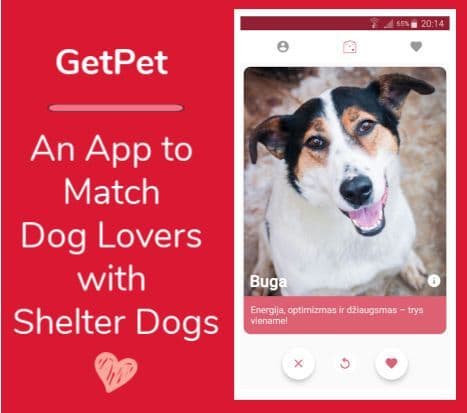 GetPet – ძაღლის საძიებელი აპლიკაცია