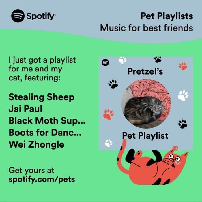 Spotify შინაური ცხოველებისთვის ფლეილისტებს შექმნის