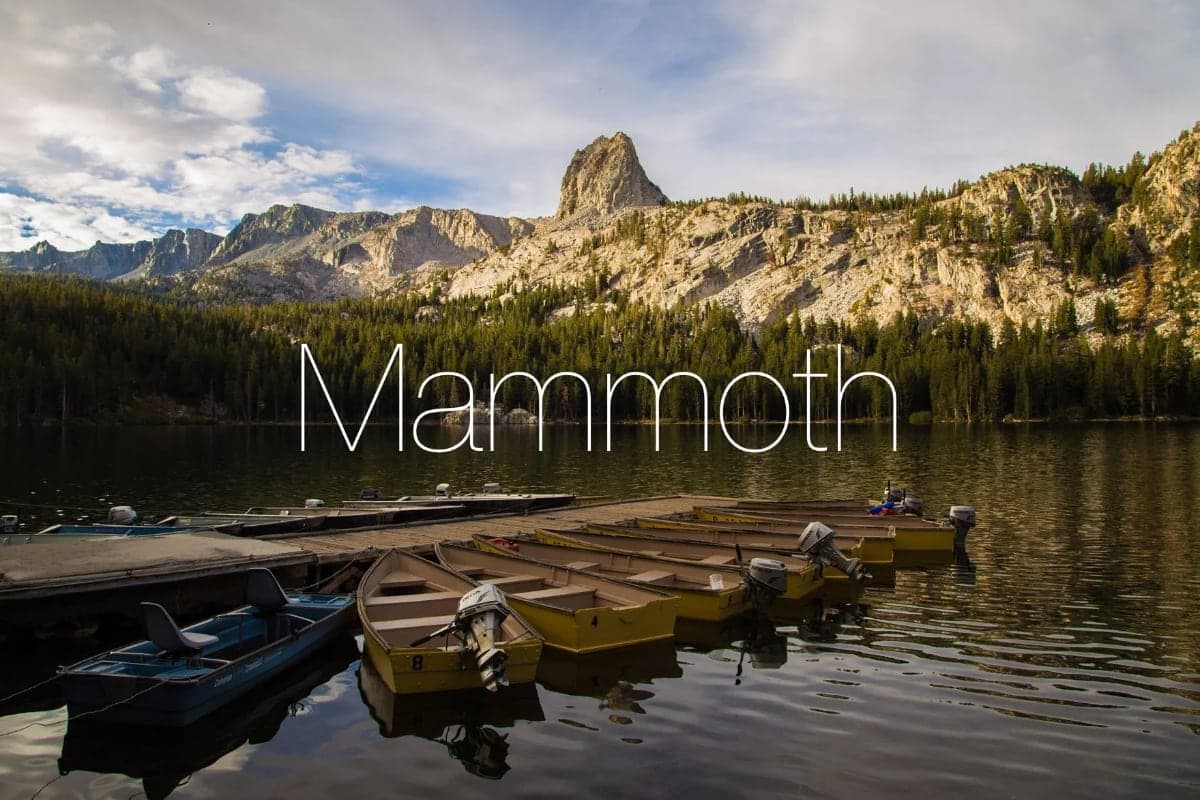 macOS-ის შემდეგ ვერსიას შეიძლება ეწოდოს Mammoth