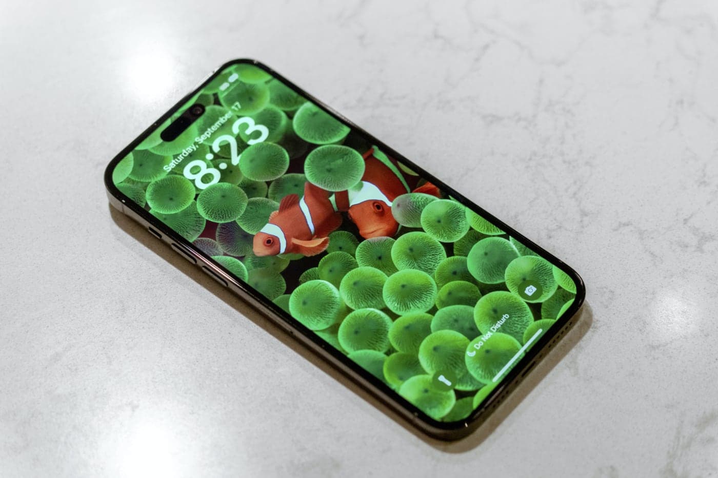 მეტი აღარ იქნება Pro Max? ახალ ტოპ iPhone 15-ს დაერქმევა Ultra