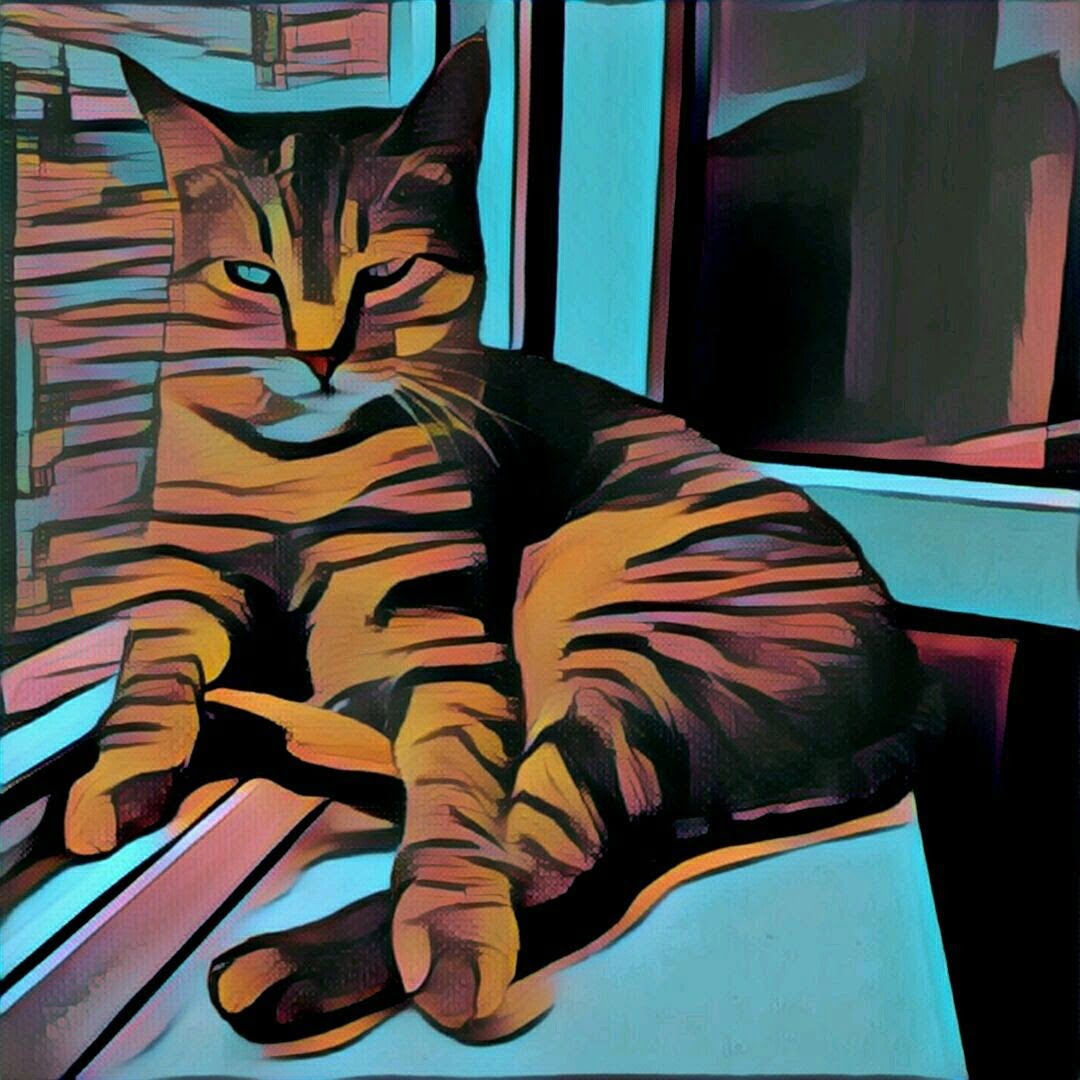 ფოტორედაქტორ Prisma-ს ფილტრების მარკეტი დაემატა